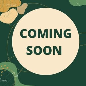 Jones New York jacket wool 46R